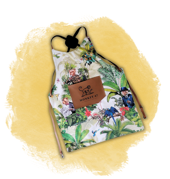 Criação e Desenvolvimento